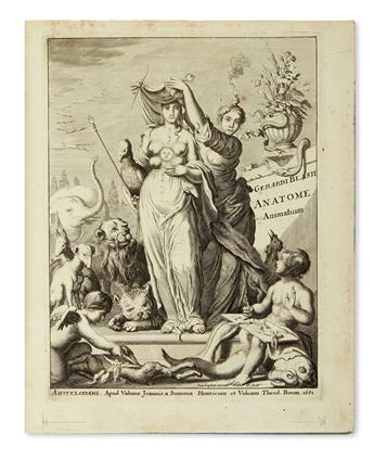 MEDICINE  BLAES or BLASIUS, GERARD. Anatome animalium.  1681